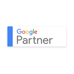 Google Partner Badge